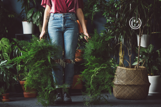 De la jungle de l'entreprise au potager de bureau