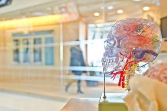 Neuroscience et QVT