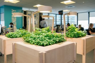 Votre potager au bureau